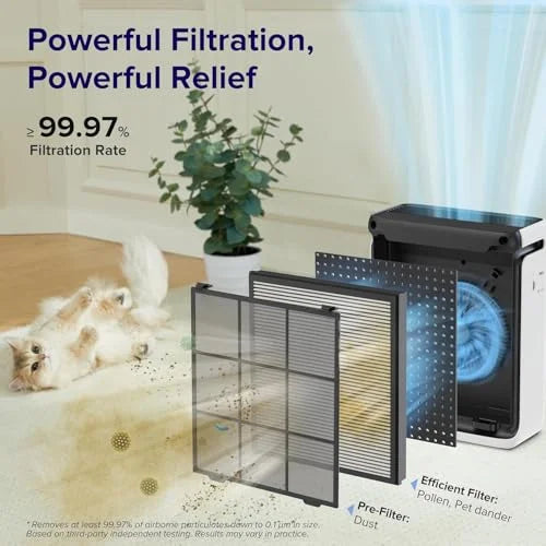Vital 100S Replacement Filter