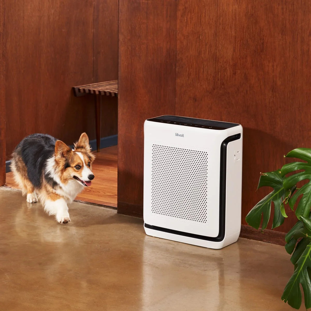 Levoit Vital 200S-P Air Purifier for Home, Pet Hair & Dander Control
